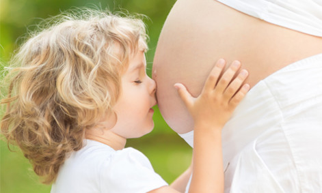 fertility-support