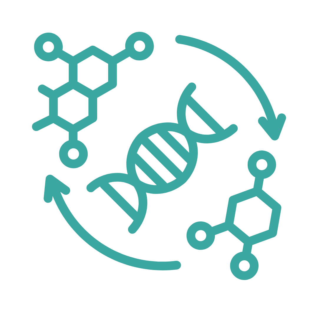 Support Cellular Repair